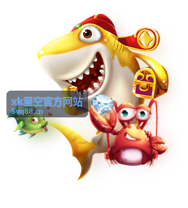 xk星空官方网站 功能指南封面